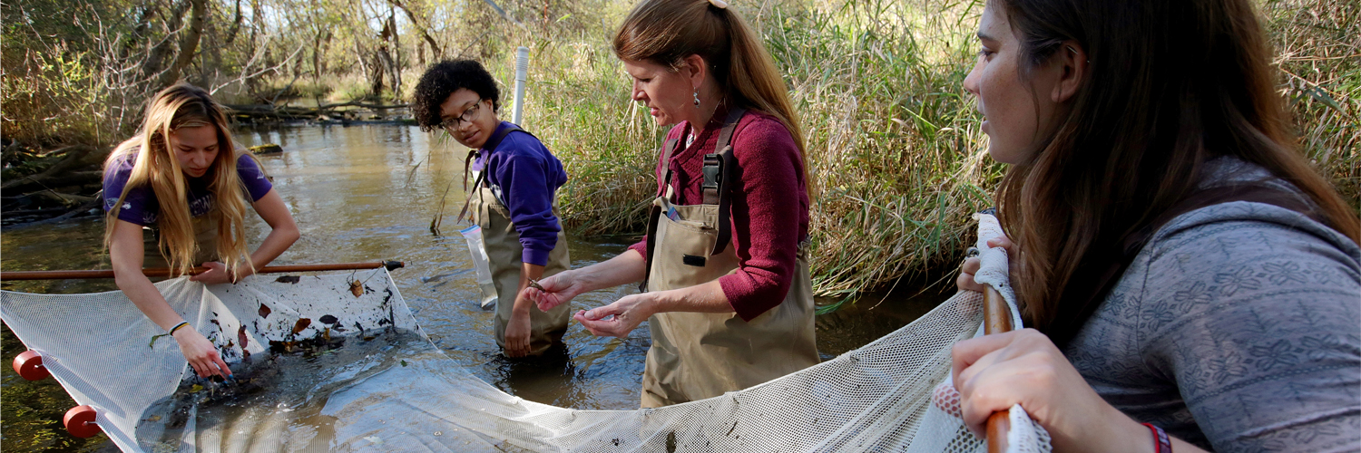 Students in a creek with a net
