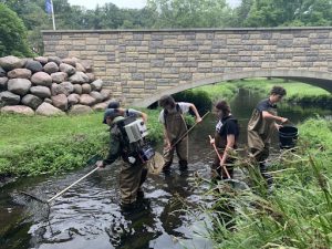 Biology professor Dave Lonzarich electrofishing to catalog fish in Little Niagra Creek. Students (L:R) Owen Wiggen, Gabe Girard, Willow Anderson, Quienten Anger