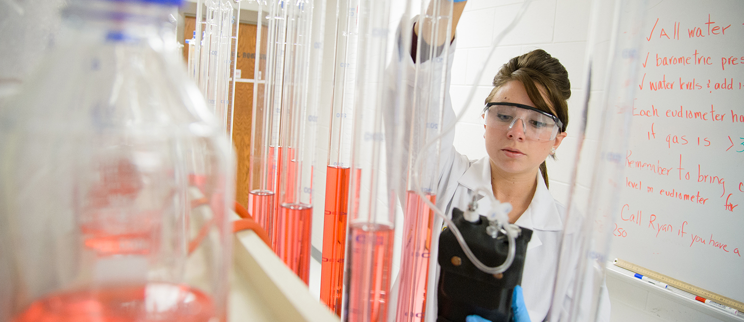 Biogas testing at the UW Oshkosh ERIC Lab.